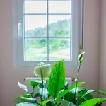 Liencres Apartamentos *