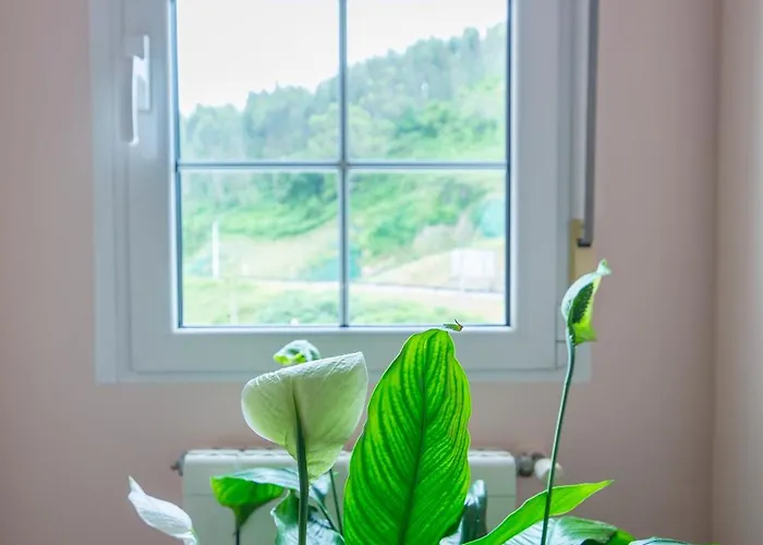 Liencres Apartamentos *