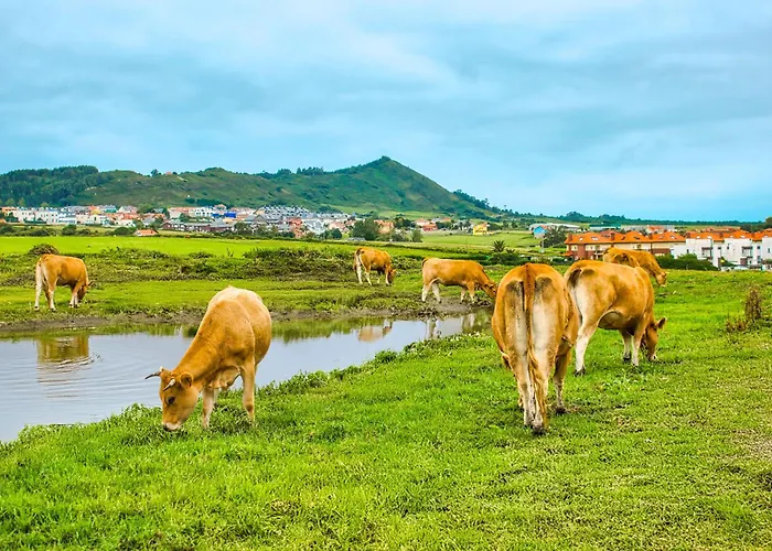 公寓 卢卡斯公寓酒店 林克勒斯