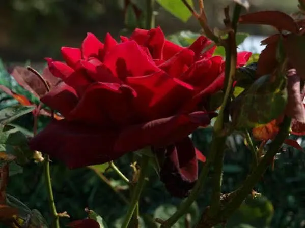 Appartamento Liencres Apartamentos