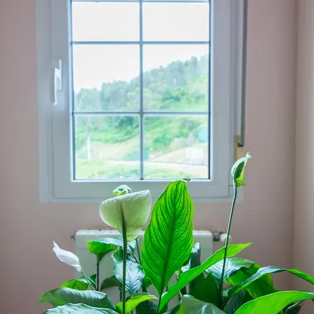 Liencres Apartamentos *