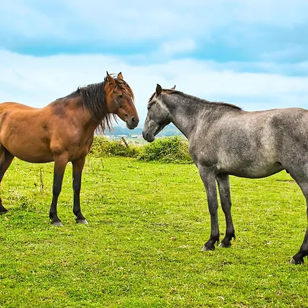 Liencres Apartamentos *